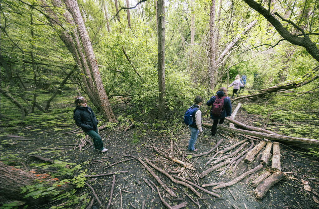 Dette billede har en tom ALT-egenskab (billedbeskrivelse). Filnavnet er 7-1024x672.jpg