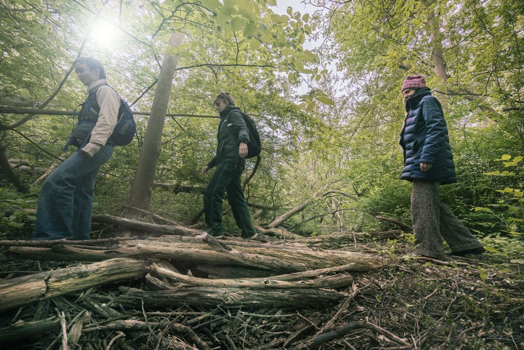 Dette billede har en tom ALT-egenskab (billedbeskrivelse). Filnavnet er 8-1024x683.jpg